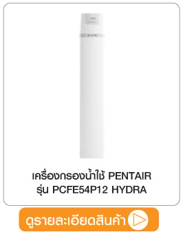 เครื่องกรองน้ำใช้ PENTAIR PCFE54P12 HYDRA